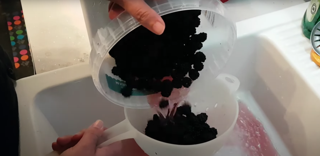 washing blackberry